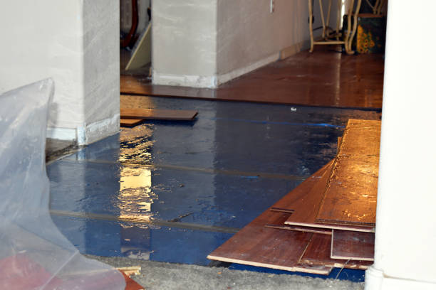 Professional Basement Flood Cleanup technician working in Hometown, PA